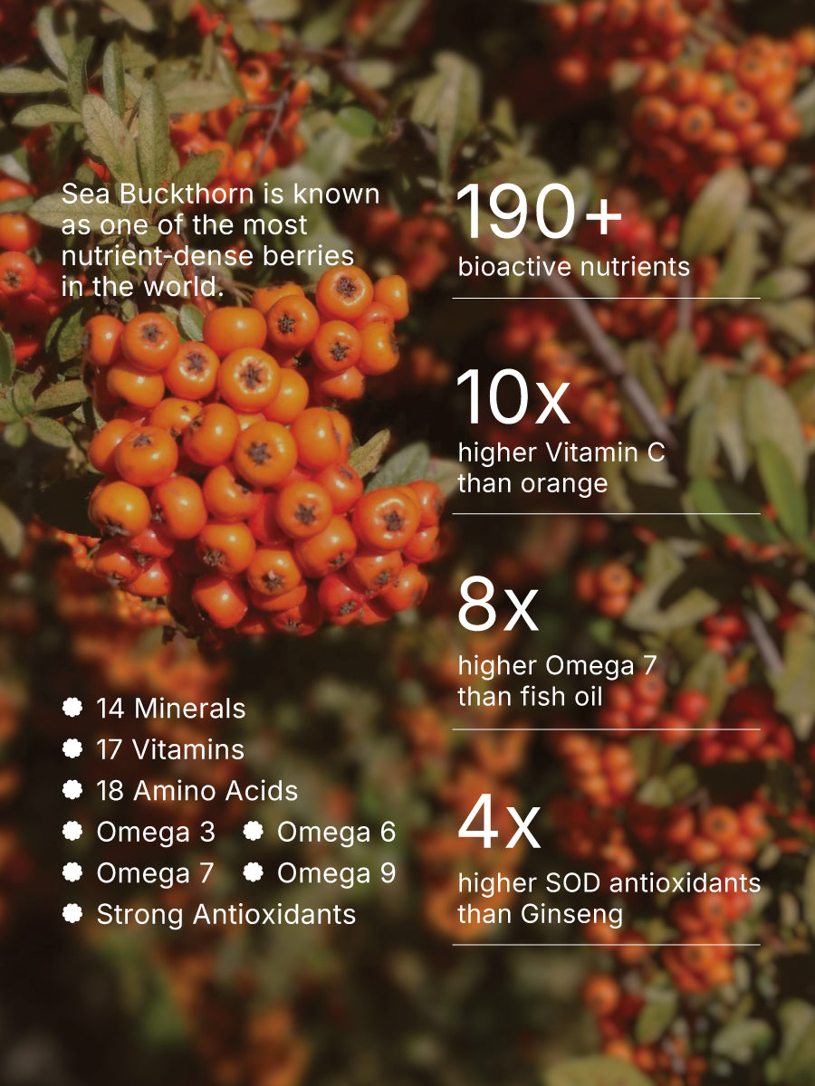 Sea buckthorn nutrition
